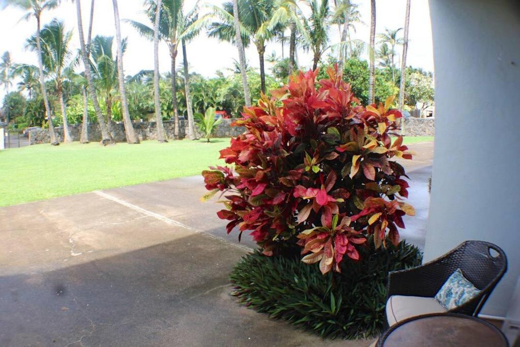 North Shore Of Maui - 2Bd-2Bath Paia Exterior foto