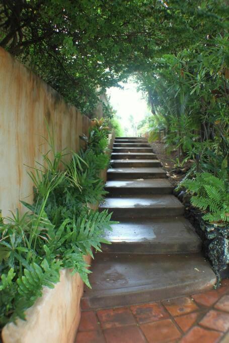 North Shore Of Maui - 2Bd-2Bath Paia Exterior foto